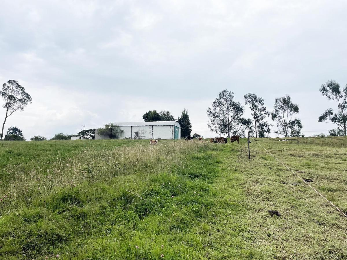 Vendo Terreno Agrícola en El Inga - Pifo — imagen 4