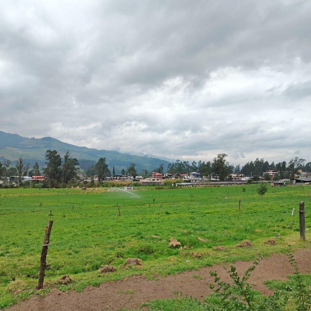 Vendo Terreno Industrial Plano Independiente en Tambillo — imagen 5