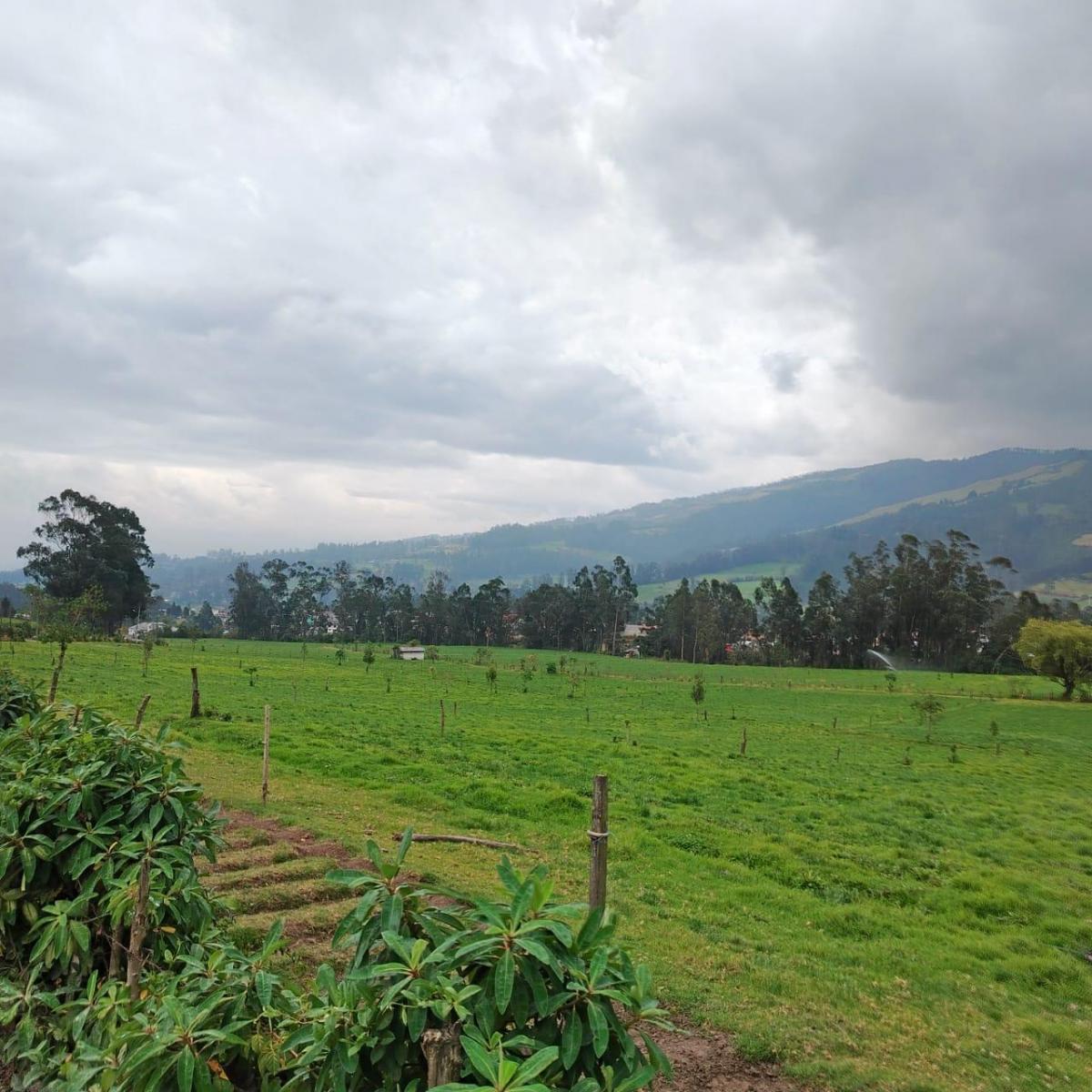 Vendo Terreno Industrial Plano Independiente en Tambillo — imagen 4