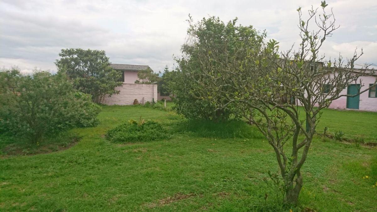 Venta de Terreno en Tumbaco Cerca de La Ruta Viva Altura de La Morita — imagen 4
