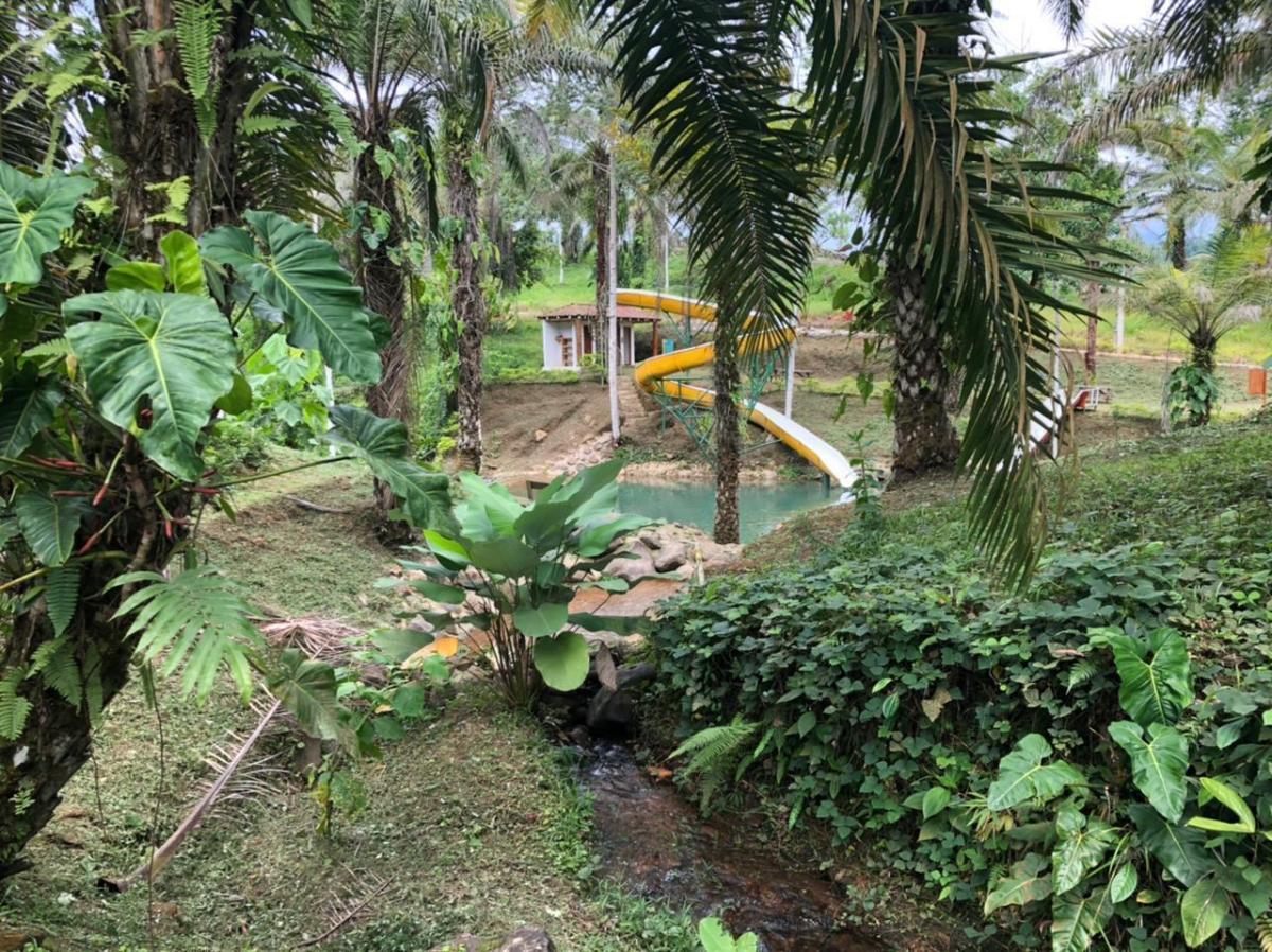 Terreno Sector Puerto Quito — imagen 3
