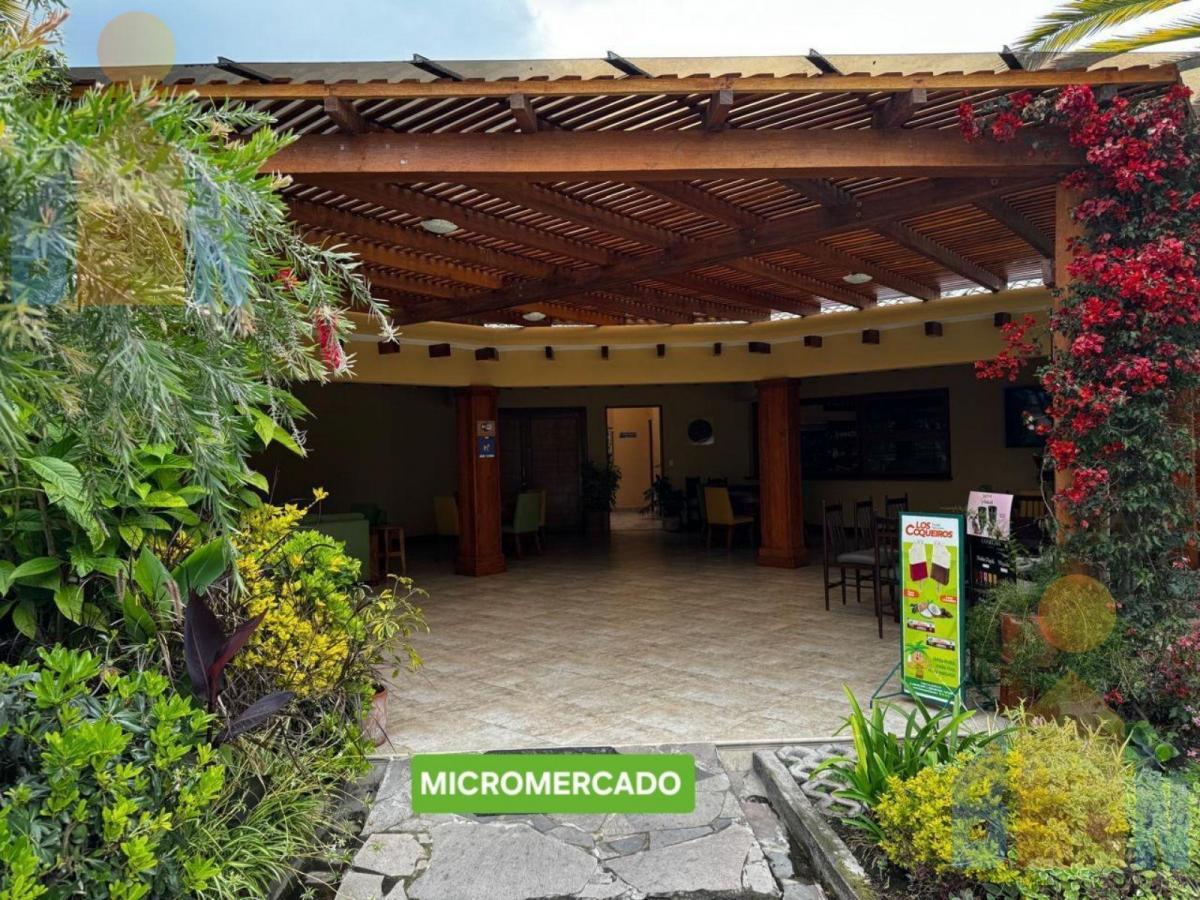 Terreno - Checa — imagen 5