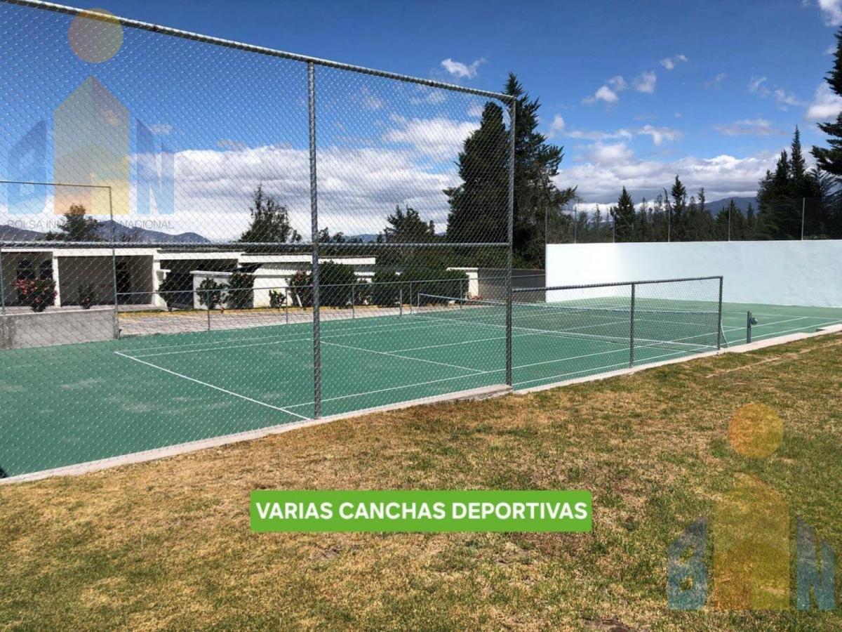 Terreno - Checa — imagen 4