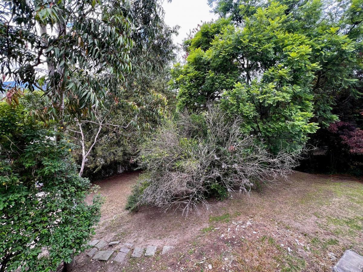 La Viña Excelente Terreno 1370 m. $356.000 — imagen 4