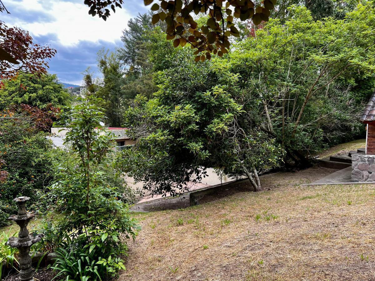 La Viña Excelente Terreno 1370 m. $356.000 — imagen 3