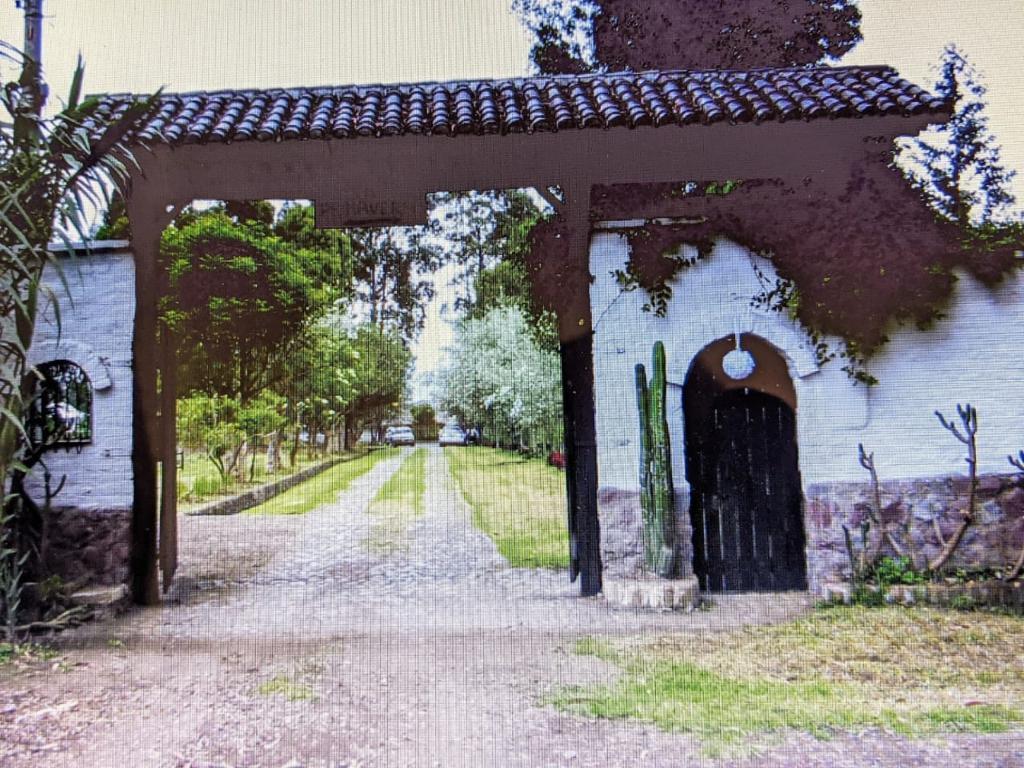 Vendo Terreno en Pifo — imagen 5