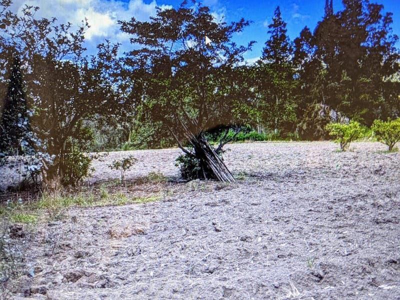 Vendo Terreno en Pifo — imagen 4