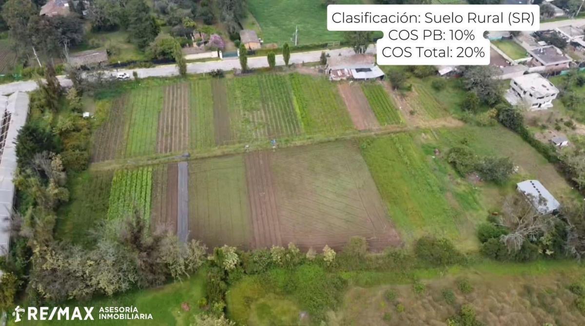 Venta Terreno Plano 12835 m² Checa — imagen 4