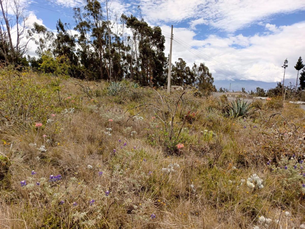 Terreno en Venta en Tisaleo. Tungurahua a La Av, Tungurahua — imagen 5