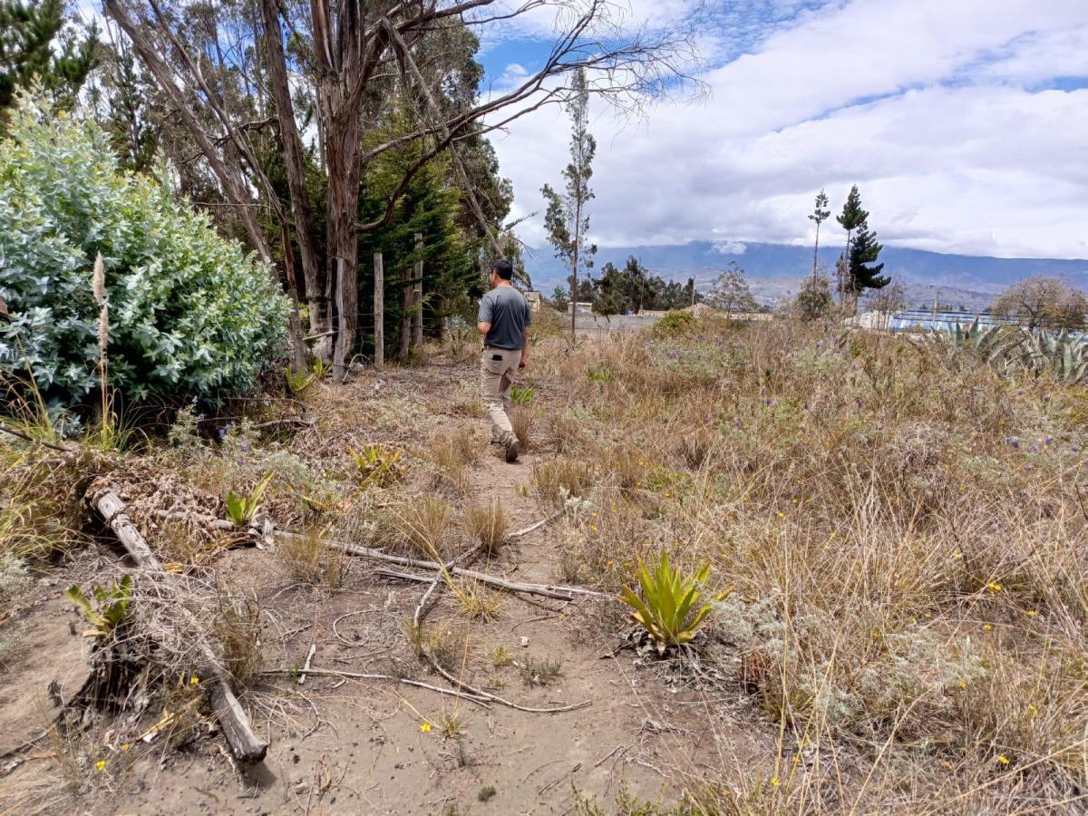Terreno en Venta en Tisaleo. Tungurahua a La Av, Tungurahua — imagen 4