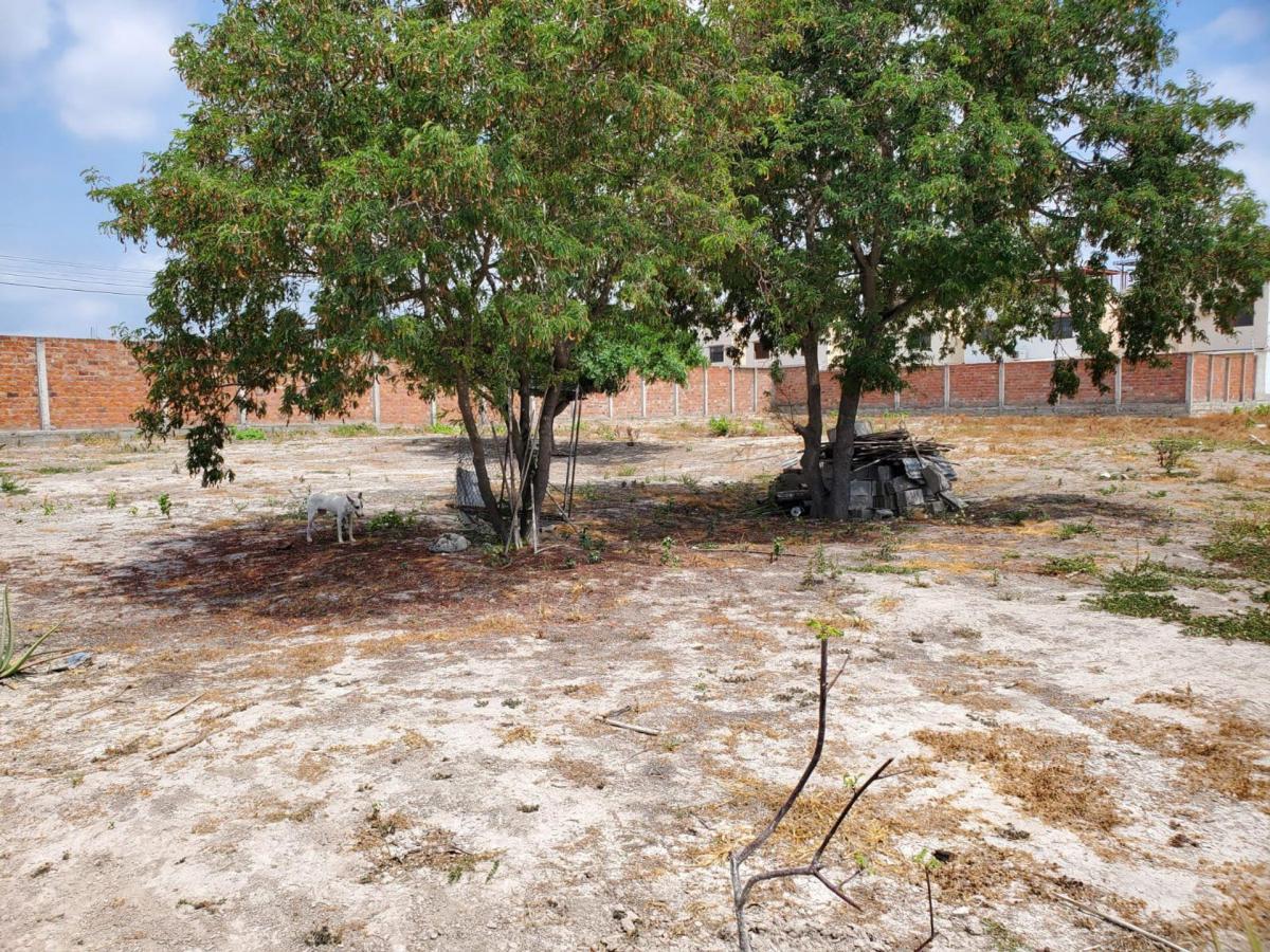 Terreno de Venta en Manta Zona Sur, Manabí — imagen 5