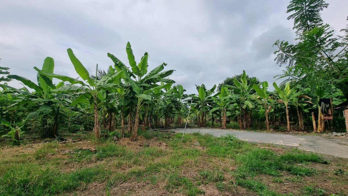 Terreno en Venta en Milagro Ings, Guayas — imagen 4