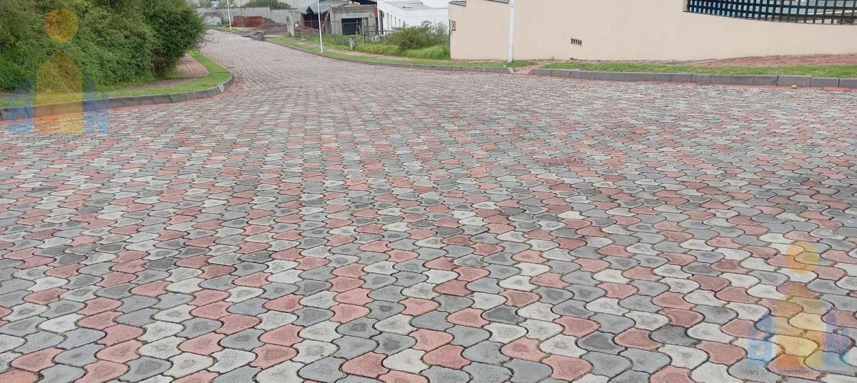 Terreno en San Rafael — imagen 5