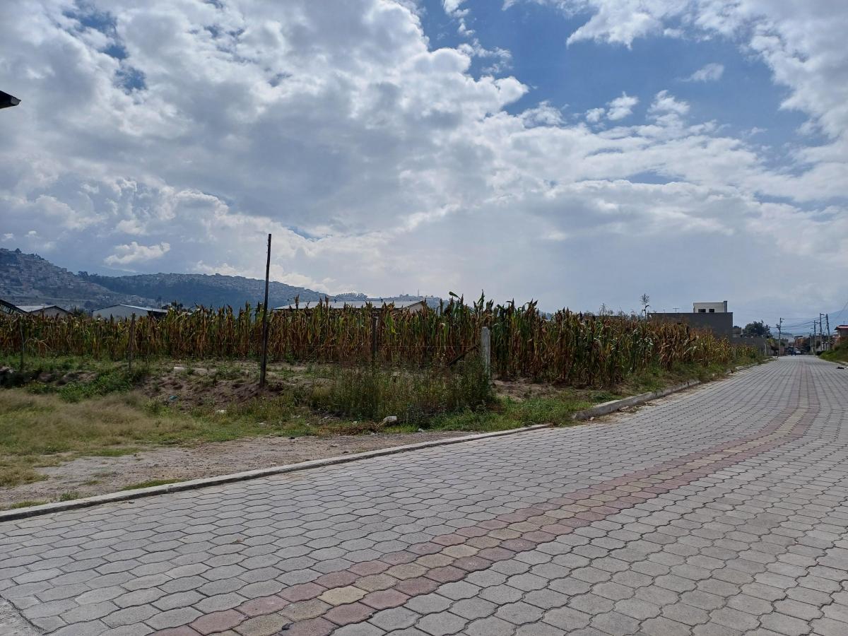 Venta Terreno 9000 m² Sector Llano Grande — imagen 5