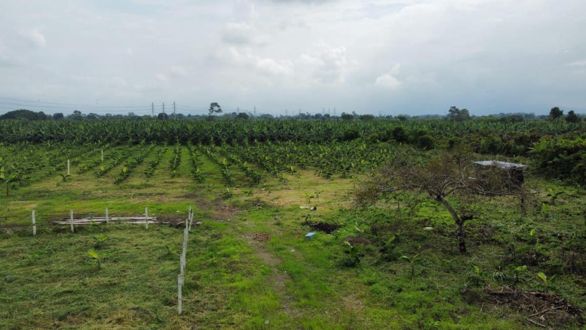 Terreno en Venta en Yaguachi Ings, Guayas — imagen 3