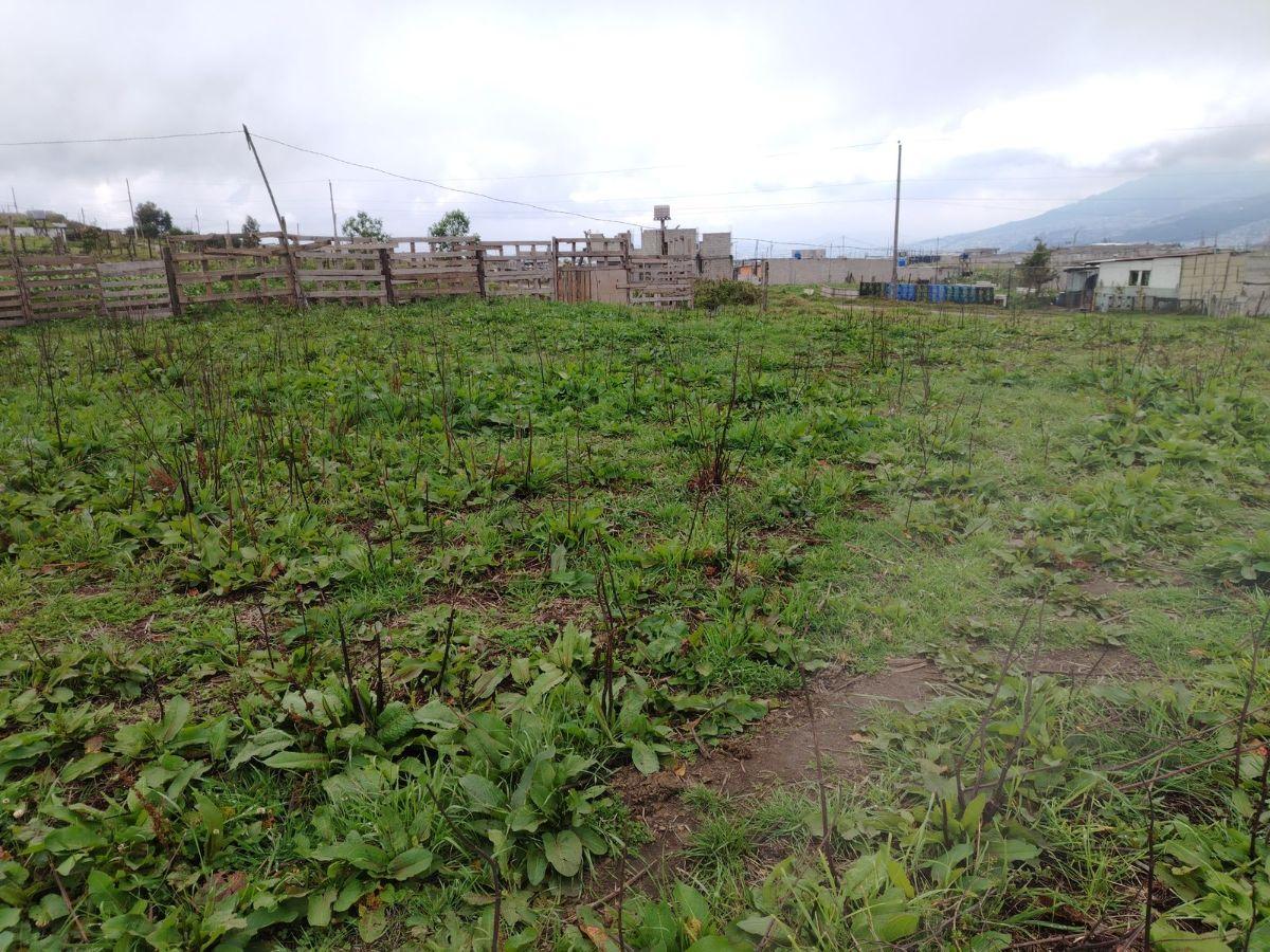 Terreno Esquinero en Venta, Norte de Quito — imagen 3