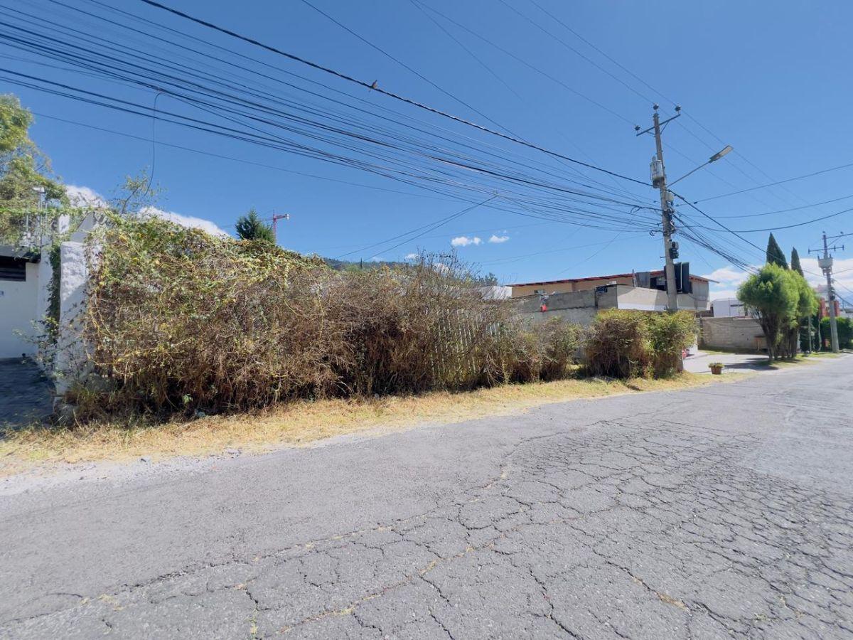 Vendo Hermoso Terreno 5.000 m San Juan de Cumbaya Ideal Para Proyecto! — imagen 5