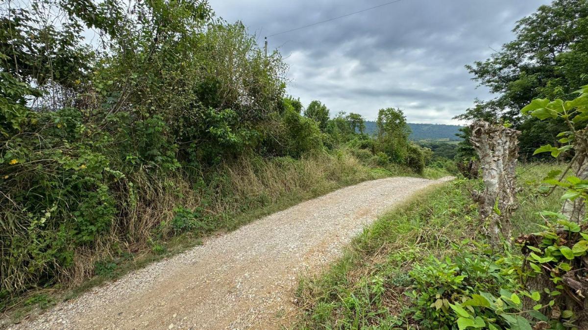 Vendo Macrolote en La Zona del Km 22 Via a La Costa Guayaquil, Guayas — imagen 5