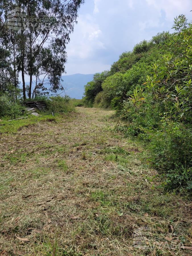 Cumbayá - Yanazarapata, Terreno en Venta de 2.800 m², Ideal Para Proyecto — imagen 5