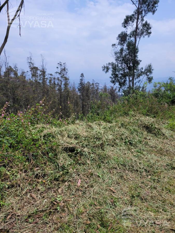 Cumbayá - Yanazarapata, Terreno en Venta de 2.800 m², Ideal Para Proyecto — imagen 3