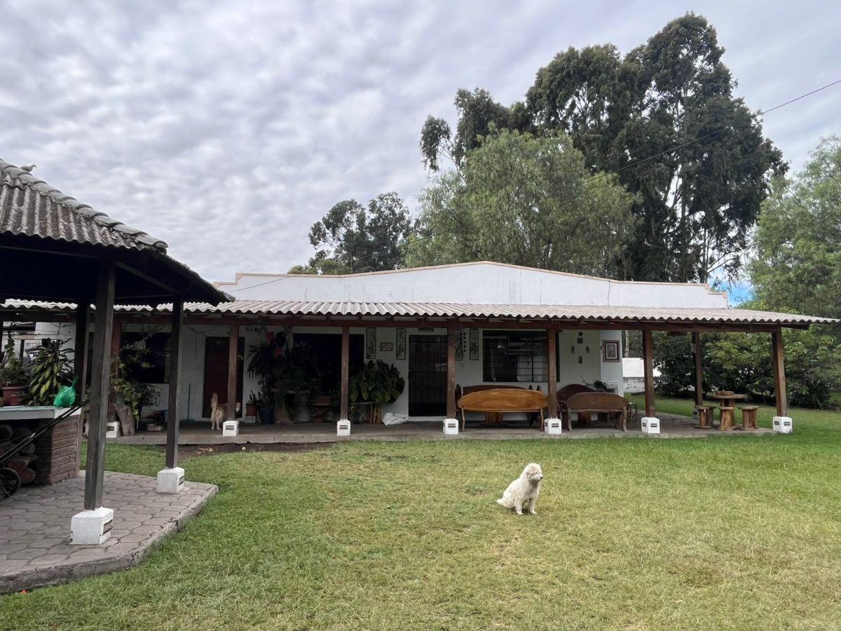 Venta Terreno 1 Hectárea Tumbaco – Alto Potencial Comercial E Inmobiliario — imagen 10