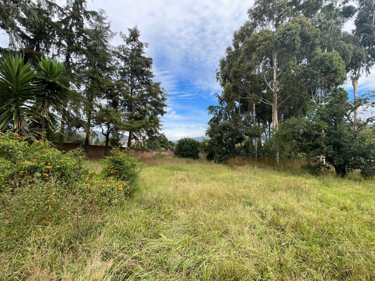 Venta Terreno 1 Hectárea Tumbaco – Alto Potencial Comercial E Inmobiliario — imagen 5