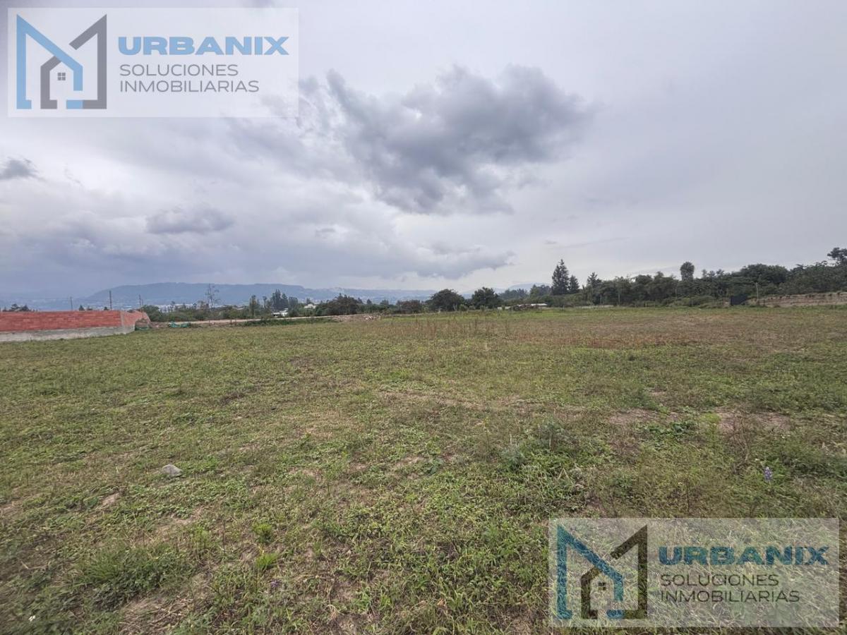 Terreno en Tumbaco — imagen 3
