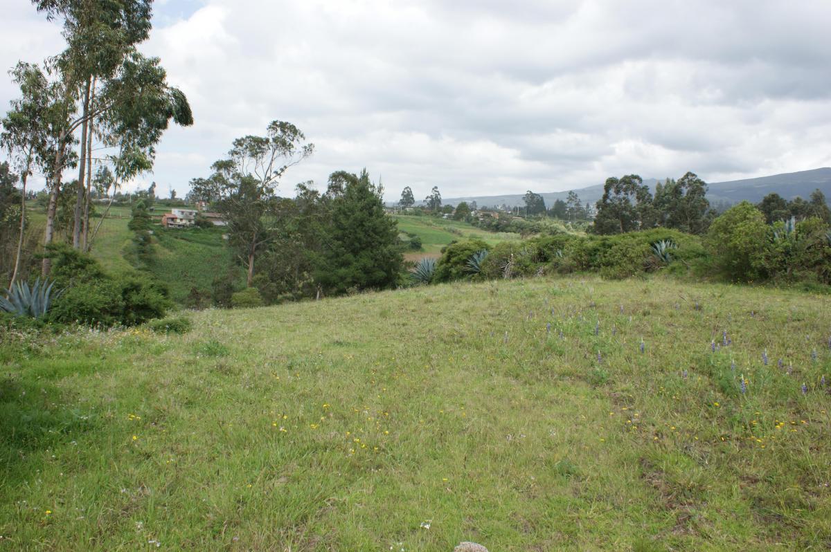 Venta - Terreno - Casa - Tabacundo - Pedro Moncayo — imagen 5