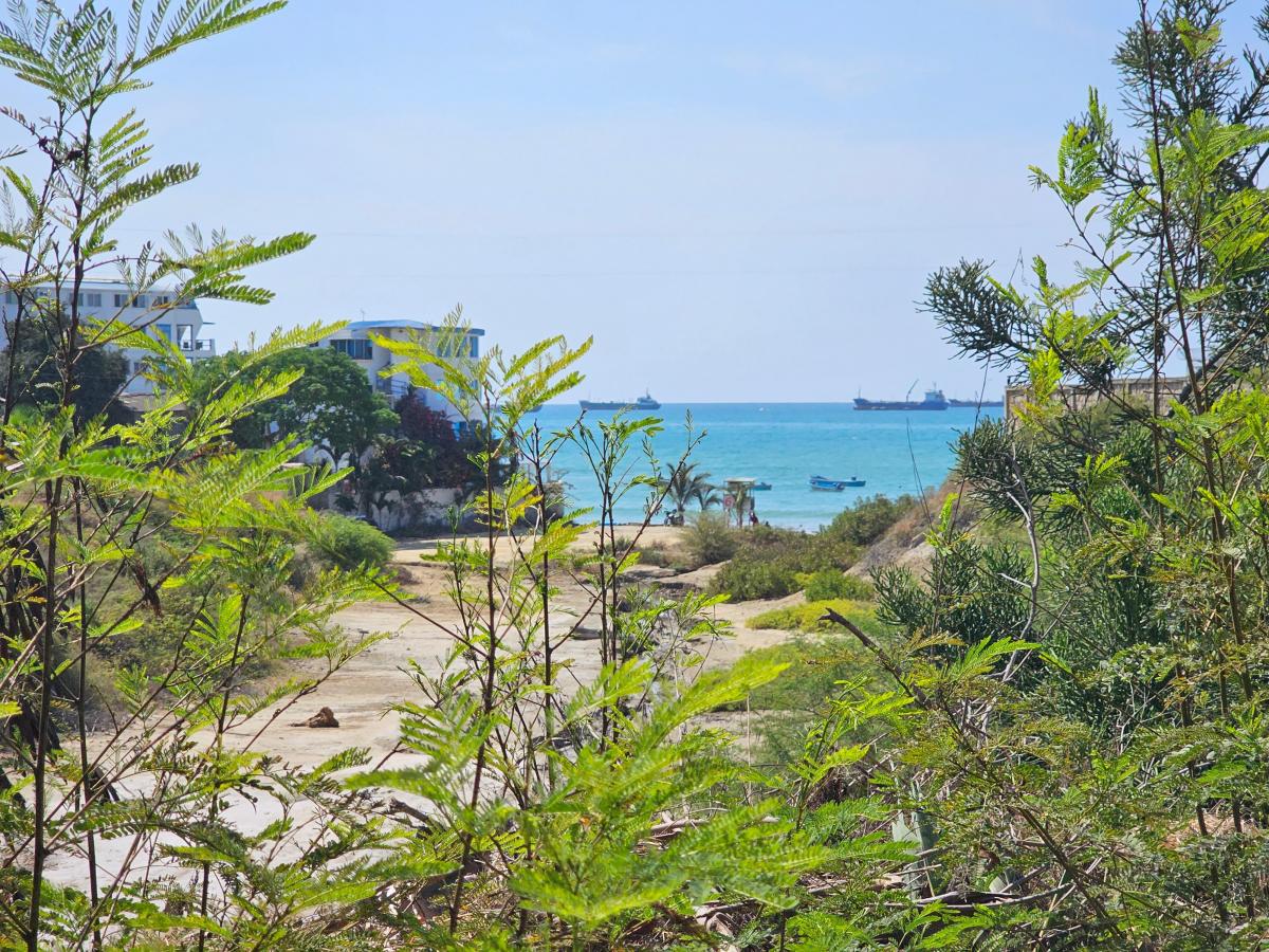 Vendo Casa con Vista Al Mar y Amplio Terreno en Brisa de Ballenita — imagen 3