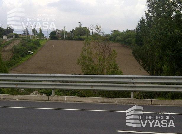 Tababela, Hermoso Terreno de Venta 8.000 m² — imagen 3