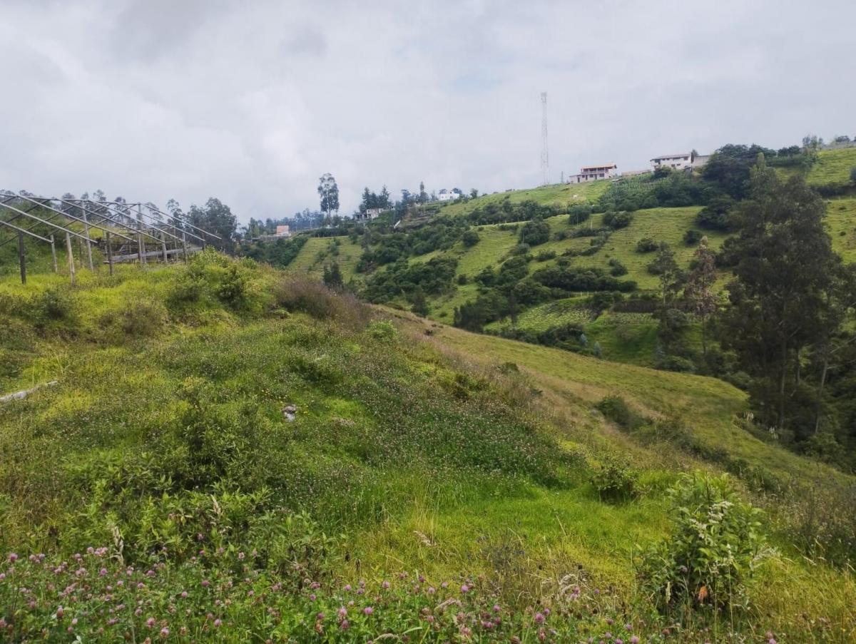 Terreno en Venta, Pintag 65,648.75 m² — imagen 5