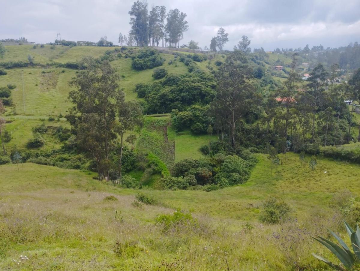 Terreno en Venta, Pintag 65,648.75 m² — imagen 3