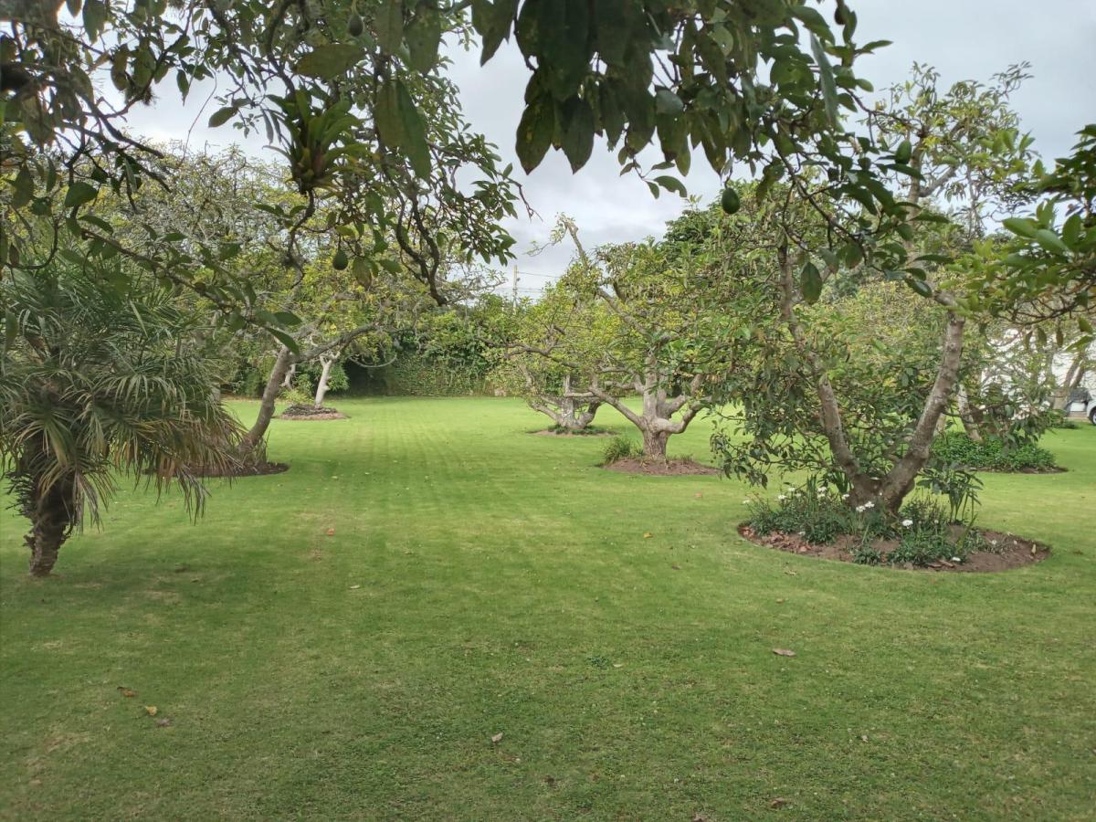 Terreno en Urbanización Privada en Puembo — imagen 5