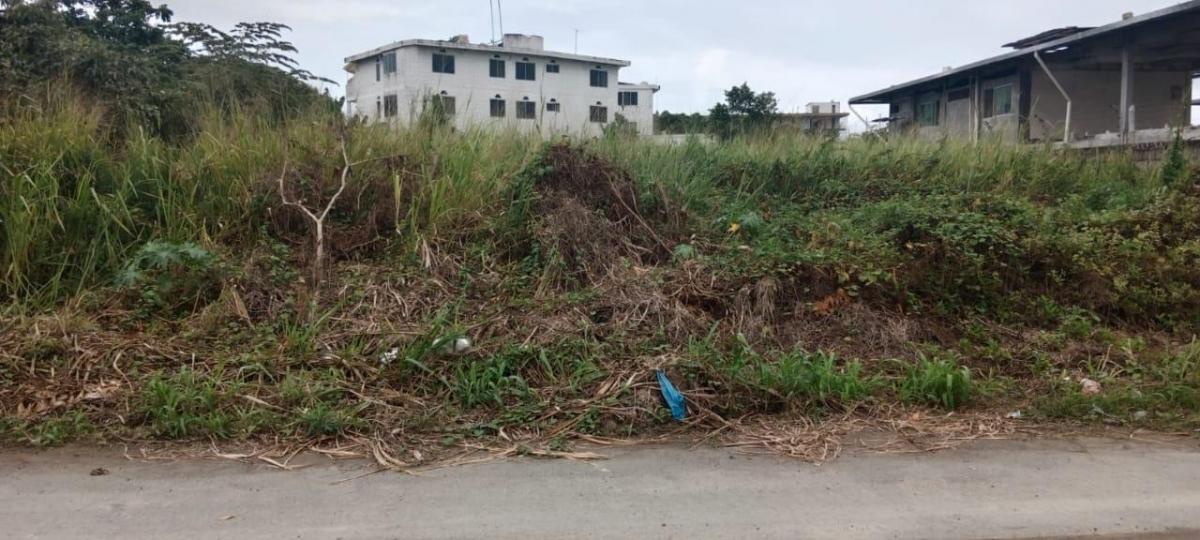 Venta - Terreno - Tonsupa - Club del Pacifico - Esmeraldas — imagen 3
