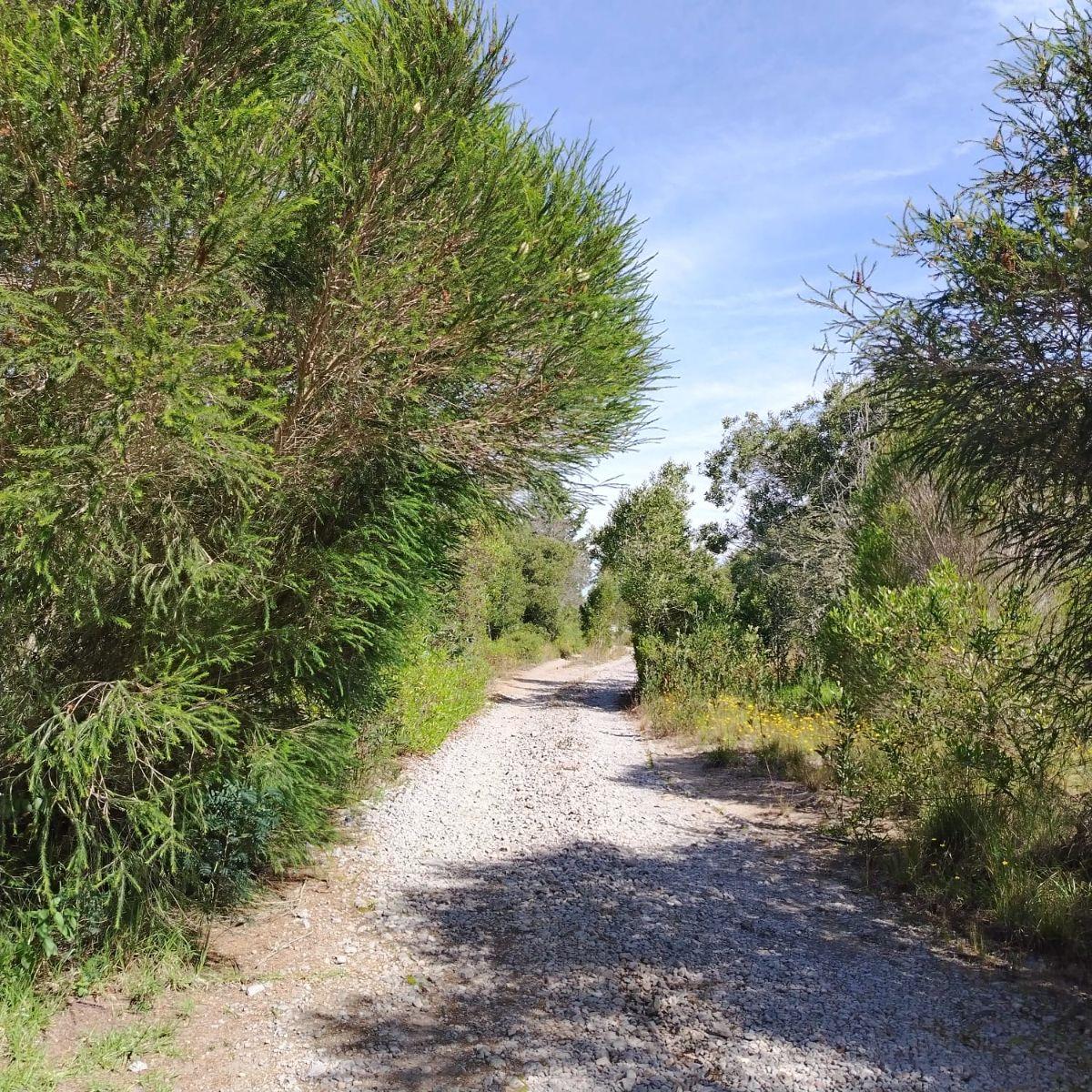 Venta de Hermoso Terreno en Malchingui de 51493 m² Plano — imagen 5