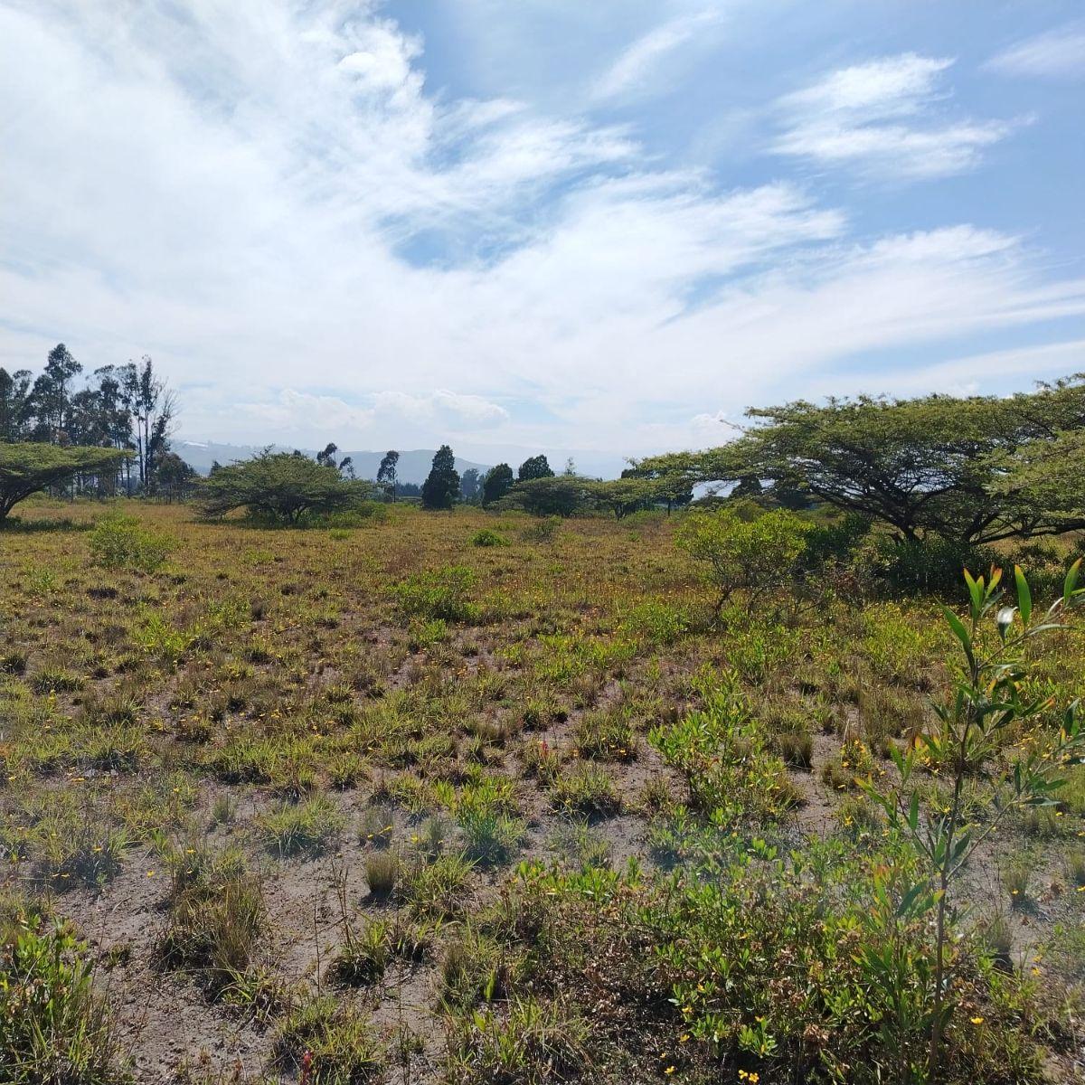 Venta de Hermoso Terreno en Malchingui de 51493 m² Plano — imagen 4