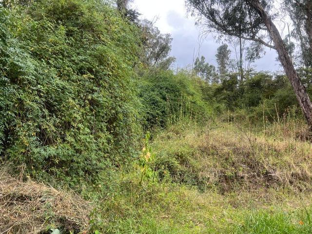 Venta Terreno Tumbaco Via Intervalles — imagen 3
