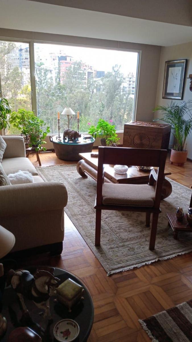 Departamento Acogedor en Venta Sector Bellavista Remodelado — imagen 5