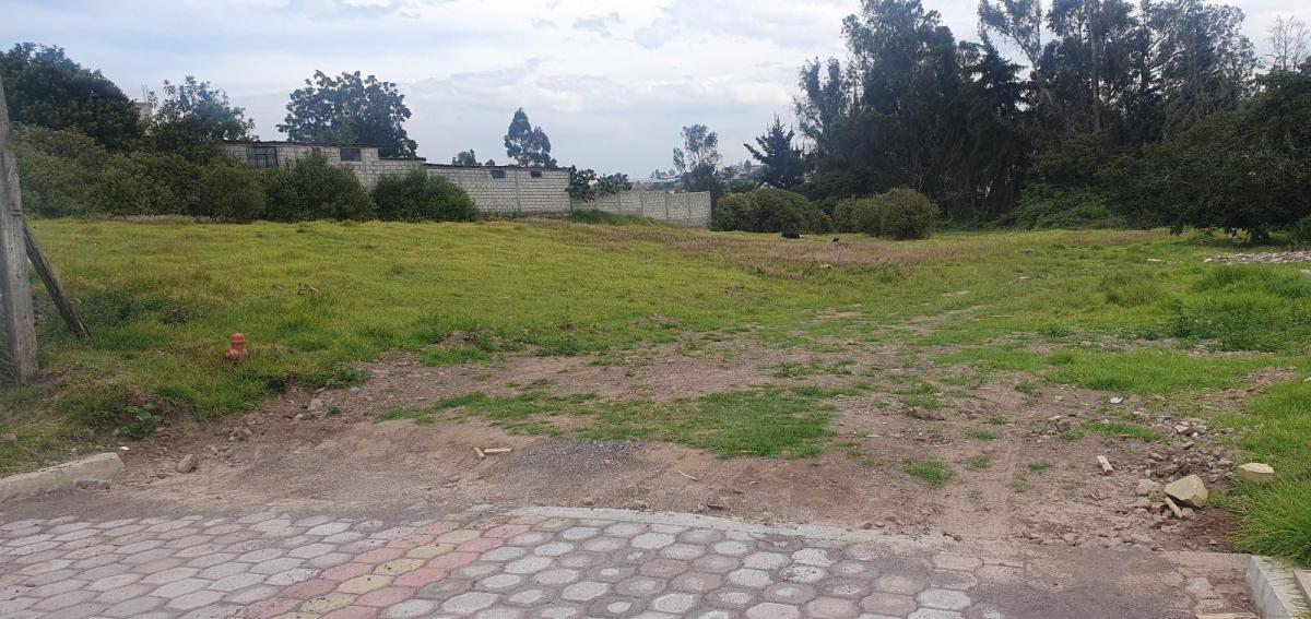 Terreno en La Tola Ideal Para Proyecto — imagen 3