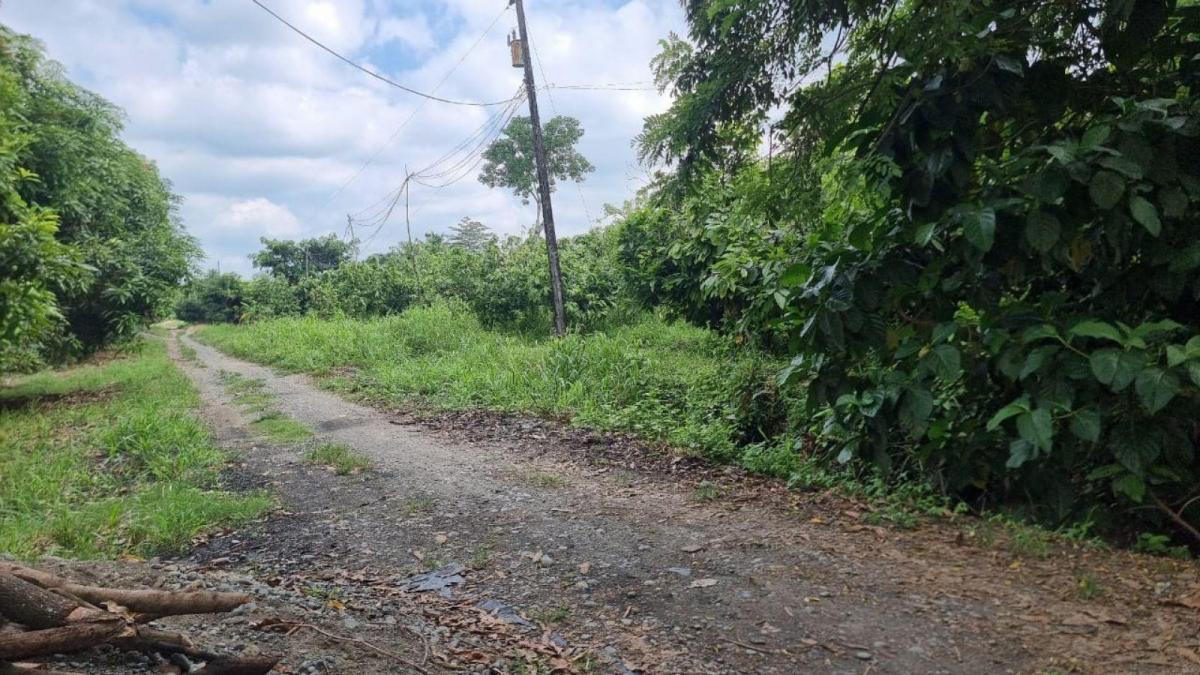 Vendo Terreno Agrícola en Milagro Vía a Naranjito, Ings. Guayas — imagen 3