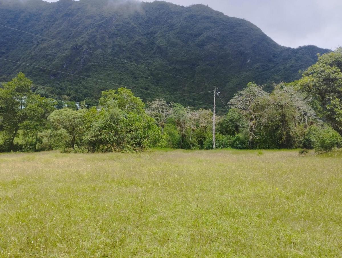 Terreno en Mitad del Mundo — imagen 3