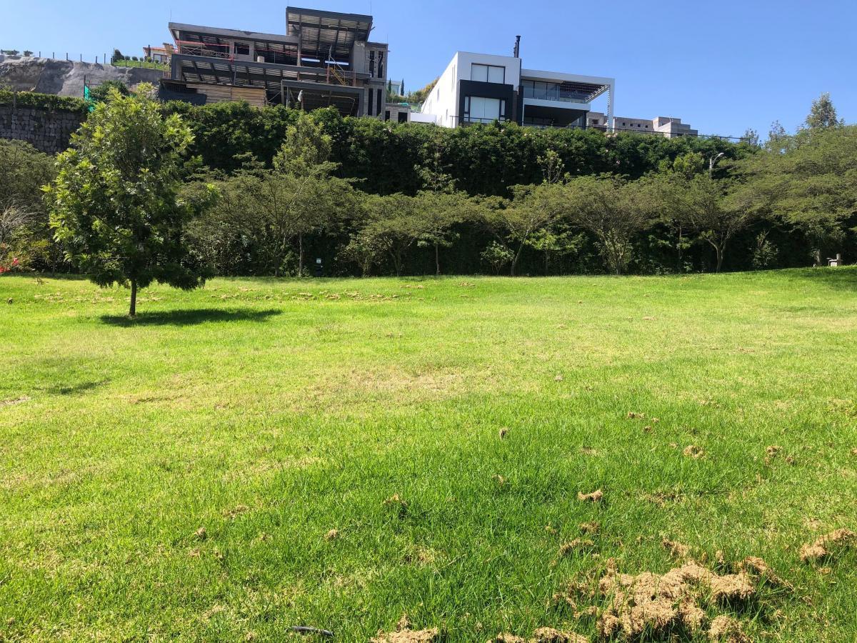 Cumbaya Terrenos en Venta en Urbanizacion Exclusiva Vista Espectacular — imagen 3