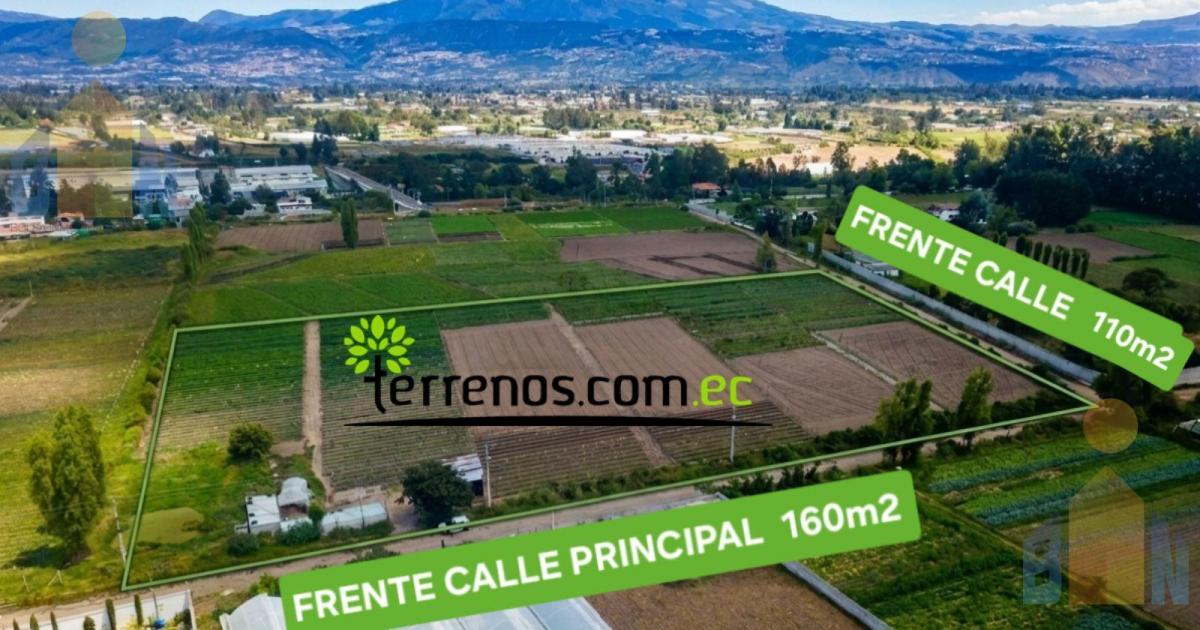 Terreno - Tababela — imagen 5