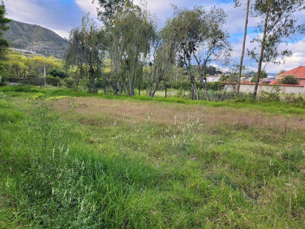 En Venta Terreno Ideal Para Proyecto Inmobiliario en Challuabamba, Azuay — imagen 5