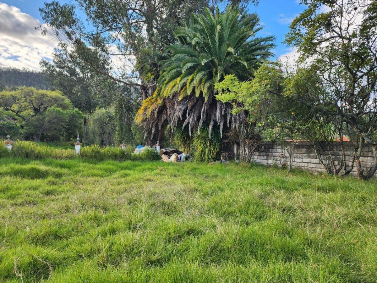 En Venta Terreno Ideal Para Proyecto Inmobiliario en Challuabamba, Azuay — imagen 3