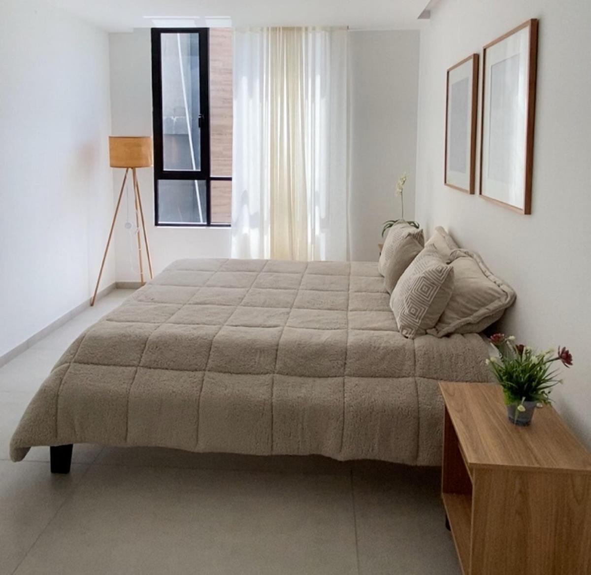 Suite a Estrenar Sector San Patricio — imagen 3