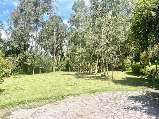 Vs Sector Capelo, Venta Propiedad 12036 m² — imagen 5
