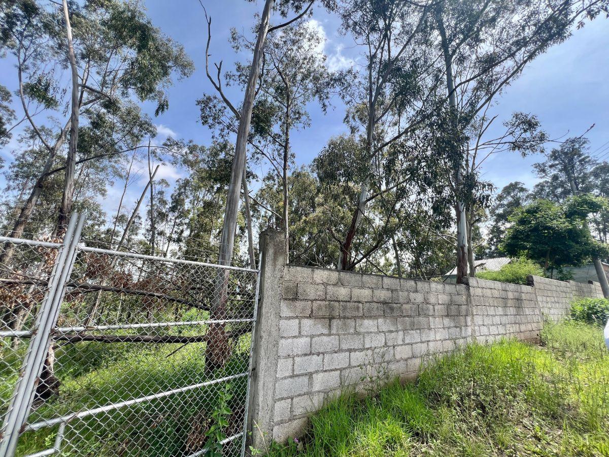 Terreno de Venta en Pifo 751 m² Ciudadela Wilson — imagen 4