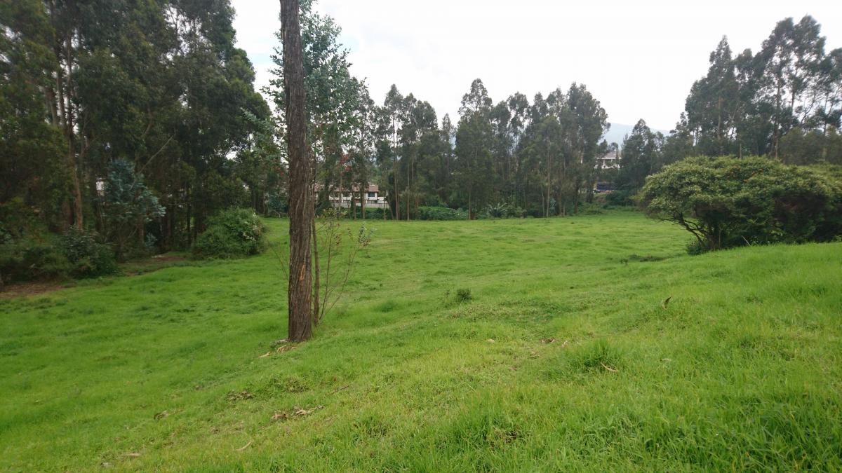 Venta de Terreno Plano Para Vivienda, Colegio, Plaza Comercial de 20000 m² — imagen 5