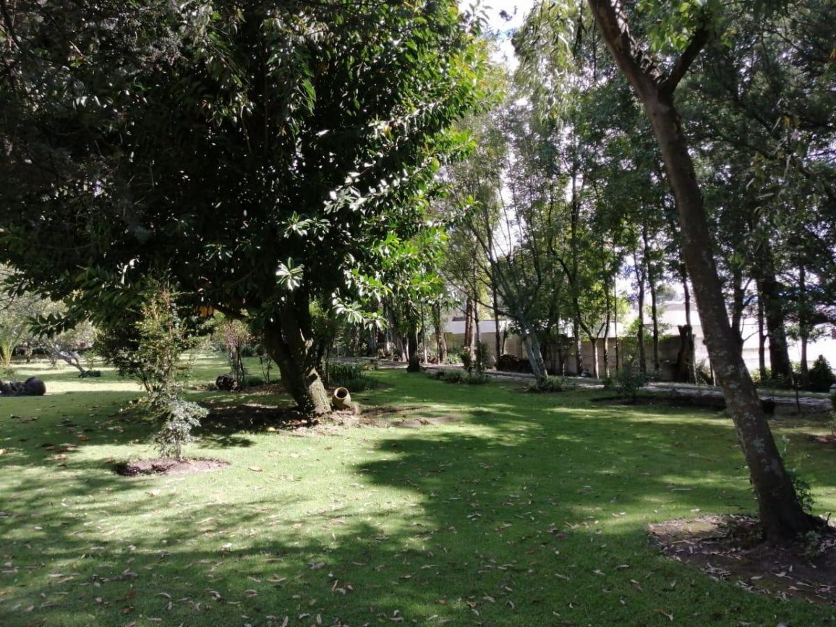 Venta de Terreno Plano Para Vivienda, Colegio, Plaza Comercial de 20000 m² — imagen 4